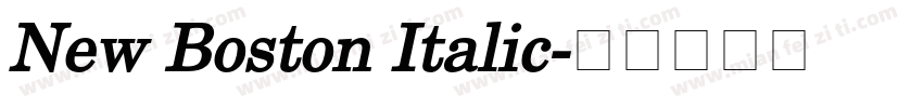 New Boston Italic字体转换